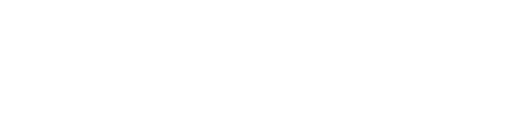 AMFS